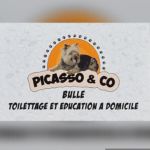 Picasso&co Bulle